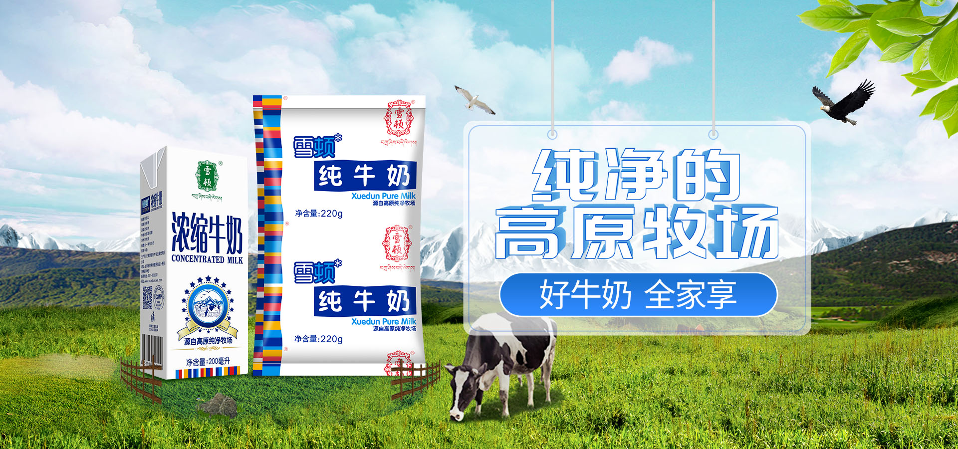 甘肅雪頓牦牛乳業股份有限公司首頁大圖